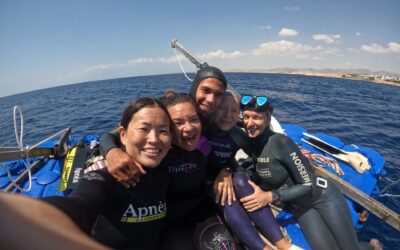 Training and coaching (Sharm El Sheikh, Egypt)